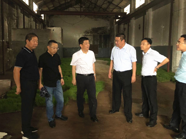 建湖县人民政府 环保动态 薛盛堂检查中央环保督察