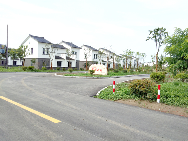 图为上冈镇黎明村农民集中居住点旁便捷畅通的农村公路.