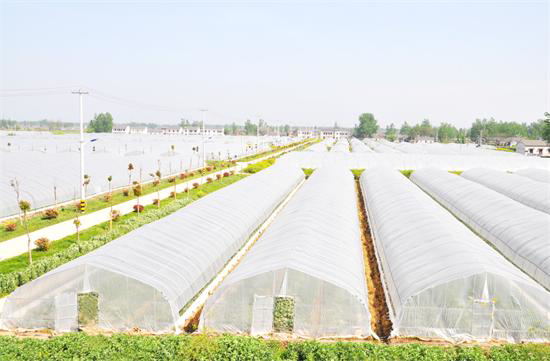 新疆市区县人口面积农业(3)