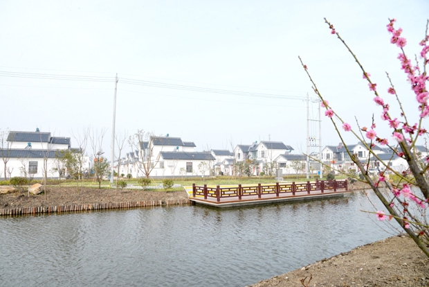 冈西镇精彩上演农房改善连续剧