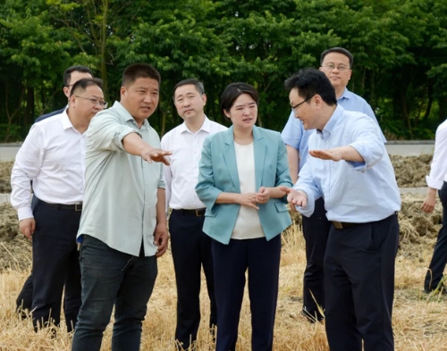 建湖县人民政府 图片资讯 陈霞检查全县"三夏"工作