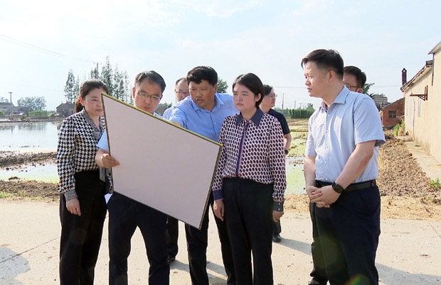 建湖县人民政府 建湖要闻 陈霞检查高标准农田及粮库仓储建设工作
