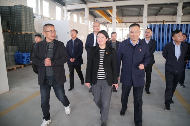 陈霞到沿河镇调研