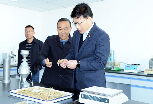 祁从峰检查粮食安全和秋收工作